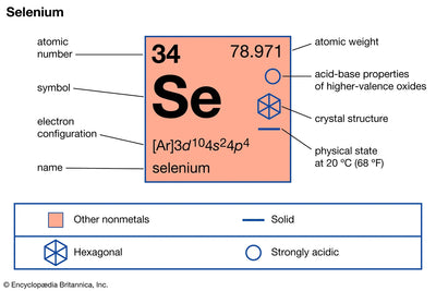 Selenium — 10mcg Selenomethionine.